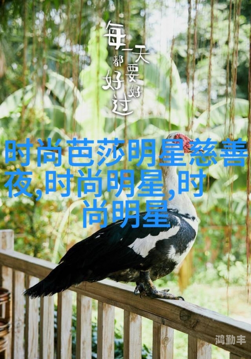 父母儿女大联欢吕红刘海听书父母儿女大联欢——吕红与刘海的温馨时刻-第2张图片
