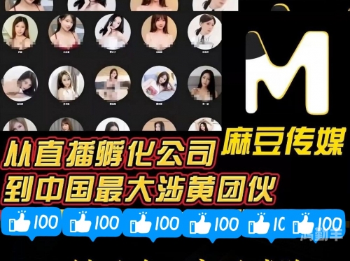 果冻天美星空传媒的在线世界-第2张图片