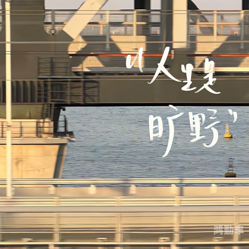 网站正能量晚上在线观看不用上载免费软件轻松获取正能量，夜间在线观看优质内容，无需上载，免费软件助你一臂之力-第1张图片
