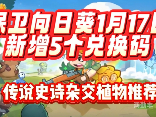 向日葵app下载网址进入18免费站长统计安卓探索向日葵APP，下载网址及安卓平台免费使用体验-第1张图片