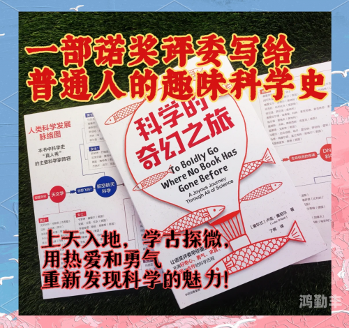 仙踪林官方网站与老狼信息网——探索数字世界的奇幻之旅-第3张图片