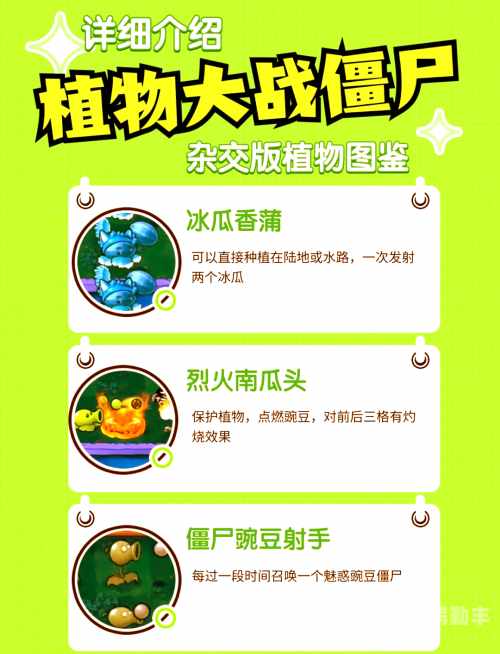 丝瓜草莓榴莲秋葵芭乐18岁污卍探索水果世界——丝瓜、草莓、榴莲、秋葵、芭乐与18岁之谜-第2张图片