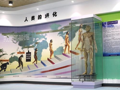 人与牲功ZZZXXXOOOO在线观看视频人与牲功的和谐共存——探索ZZZXXXOOOO的奥秘-第1张图片