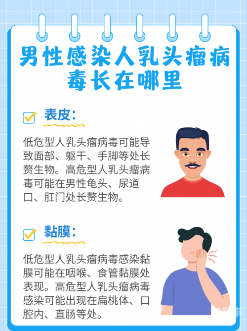 男性的hpv初期图片关于与两人发生关系后可能感染HPV的探讨-第1张图片