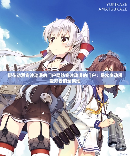 樱花动漫官网入口解析-第2张图片