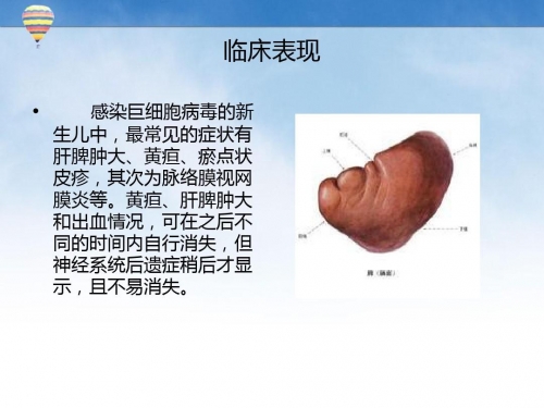 有免费的片子吗没病毒的关于免费资源获取的探讨-第2张图片
