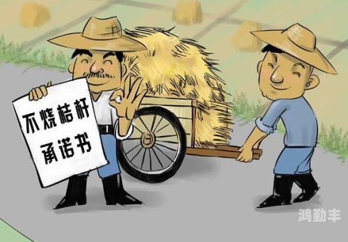 稻草之下的微妙世界，一段小视频的记录与感悟-第2张图片