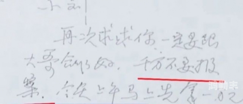 网友和劳荣枝网友与劳荣枝的交集，深度解析网络与现实交织的复杂关系-第1张图片