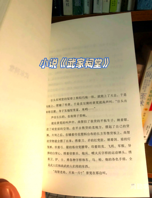 成人区色情综合小说，探索与警示-第2张图片