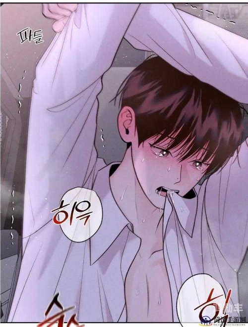 双男主的腐肉双男主的腐肉——一段禁忌之恋的深度探索-第2张图片