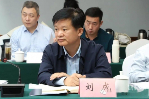 刘雪与刘成，家族的传承与成长-第3张图片