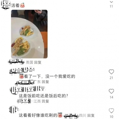 留学生张丽的异国求学之旅-第3张图片