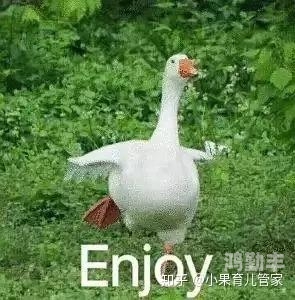 开心博客开心播博网，社交媒体时代的快乐源泉-第2张图片