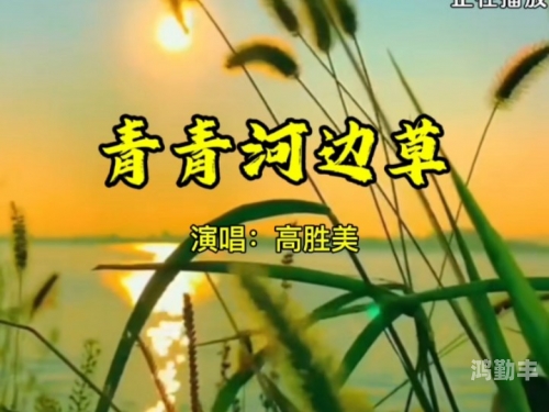青青河边草多少集青青河边草分集介绍