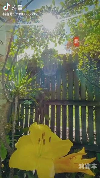 老狼一区忘忧草欢迎您大豆老狼一区忘忧草的传说与大豆的丰收-第1张图片