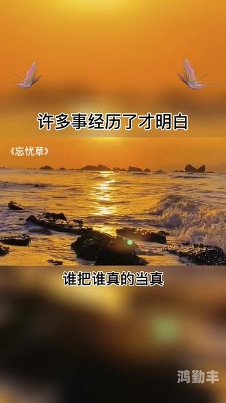 老狼一区忘忧草欢迎您大豆男男老狼一区忘忧草的魅力世界——大豆男男的探索之旅