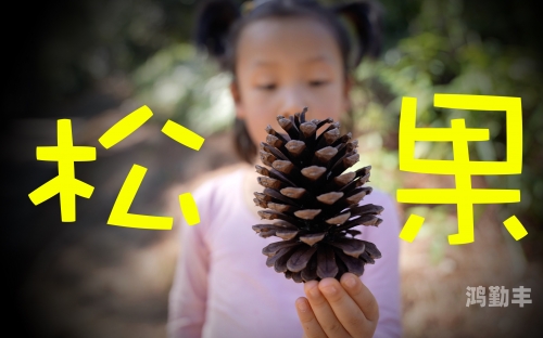 jiejie探索Jiejie的多元魅力