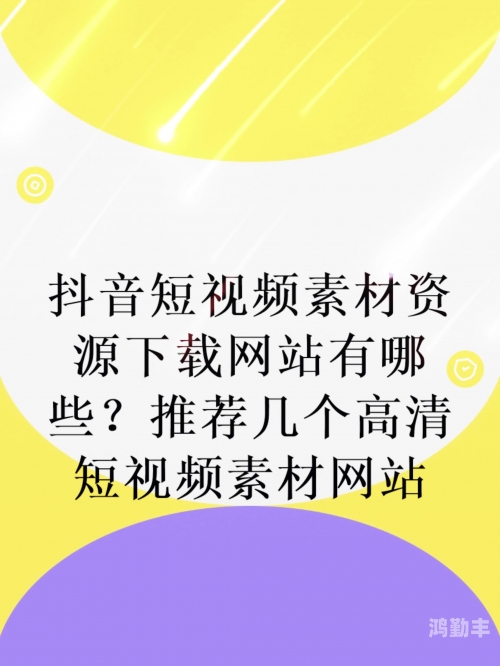 一个人看的免费高清www视频在线观看网站免费高清www视频在线观看的便捷体验-第2张图片