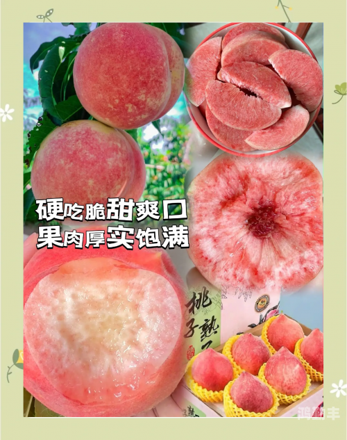 水蜜桃系列，甜蜜的夏日果实之旅
