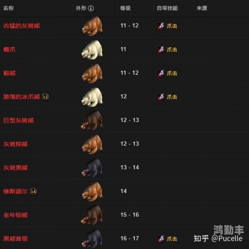 TBC猎人宝宝，从新手到高手的成长之路-第3张图片