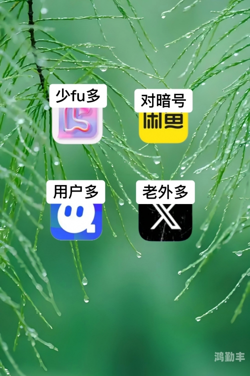 泡泡网交友泡泡网交友，探索现代社交的新方式