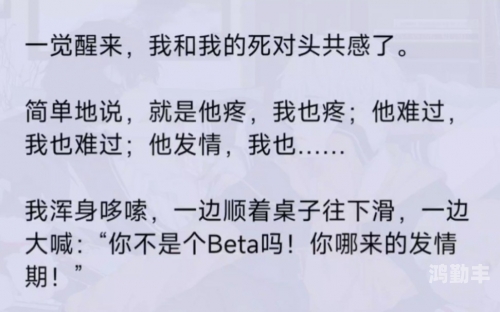育儿之谜，Enigma如何解锁Alpha的育儿袋-第3张图片