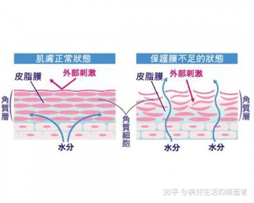 探索无破膜之道，如何快速提升自我状态？-第3张图片