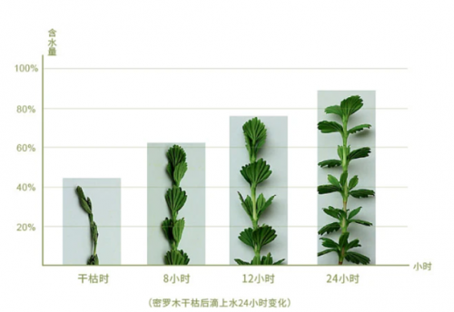 探索无破膜之道，如何快速提升自我状态？