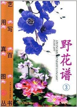 野花社区免费观看在线观看3-YOL野花社区在线观看指南，免费欣赏与体验-第2张图片
