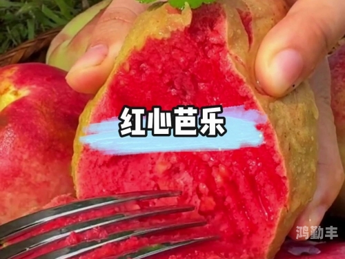 新版草莓视频下载芭乐草莓视频、芭乐视频与丝瓜视频下载app的全面解析-第1张图片