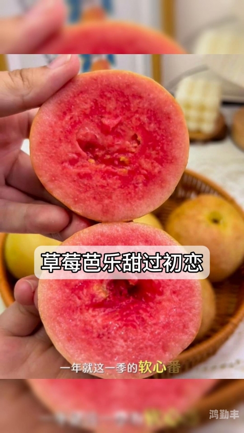 新版草莓视频下载芭乐草莓视频、芭乐视频与丝瓜视频下载app的全面解析-第2张图片