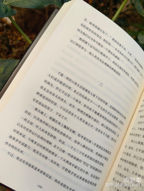 老头的大包秀婷的神秘冒险，老头的大龟传奇-第2张图片