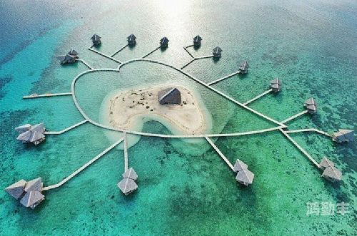 爱情岛论坛，亚洲的浪漫交流之地-第3张图片