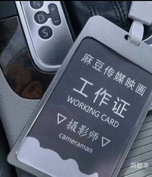 亚洲一卡二卡三卡四卡无卡麻豆探索亚洲的多元支付方式——一卡、二卡、三卡、四卡与无卡支付中的麻豆现象-第3张图片