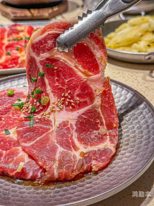 肉多到炸的年下肉多到炸的年下——美食的狂欢与味蕾的盛宴-第2张图片