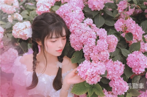 蜜芽768mon二区忘忧草在线蜜芽768mon二区忘忧草的探索之旅-第2张图片