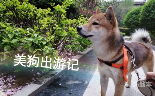 装睡中的意外触感