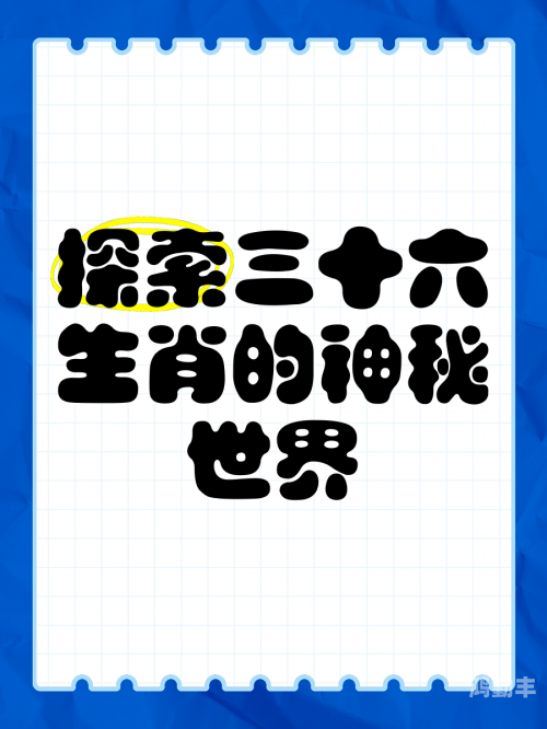 龙物之谜，探索YW.1688的神秘世界-第2张图片