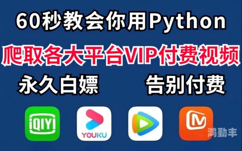 非会员免费60秒试看免费5次免费体验，非会员也能享——60秒试看，免费体验5次！-第3张图片