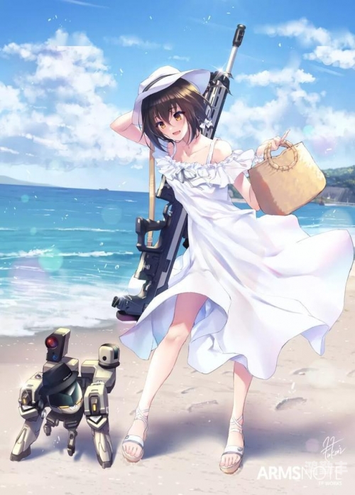 枪械少女的魅力与故事