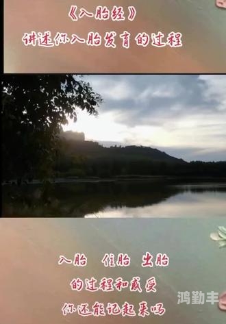 BGMBGMBGM老太太毛多老太太的神秘之谜，BGMBGMBGM与毛多的故事-第2张图片