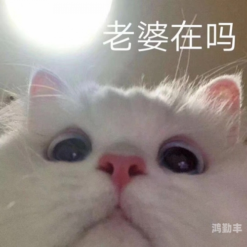 捶你一口是什么意思解析捶你一口的含义