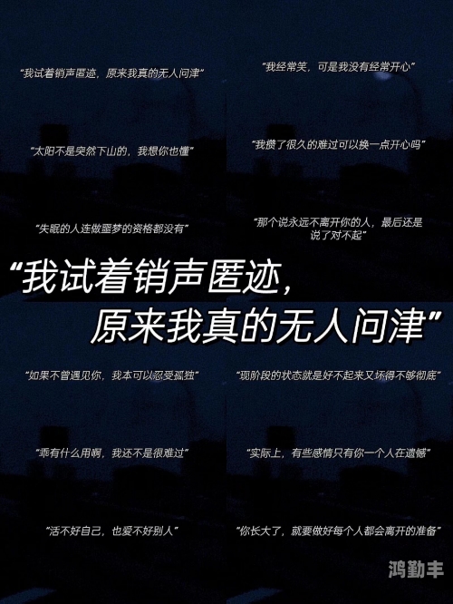 沙河视频，网络流行语背后的意义解析-第2张图片