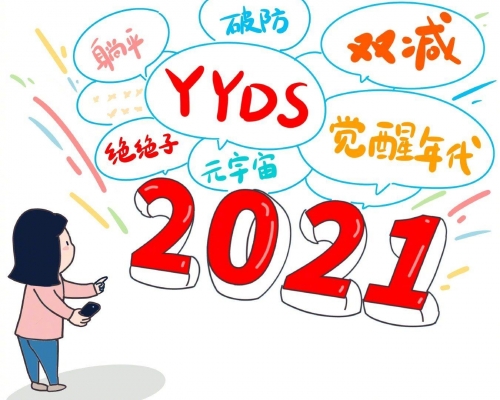 沙河视频，网络流行语背后的意义解析