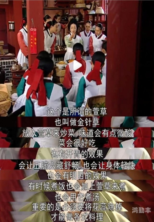 忘忧草影院——探索日本与韩国的影视文化-第1张图片
