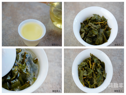 温茶poh傅舒言傅明远中文探索温茶与pH值的奥秘-第2张图片