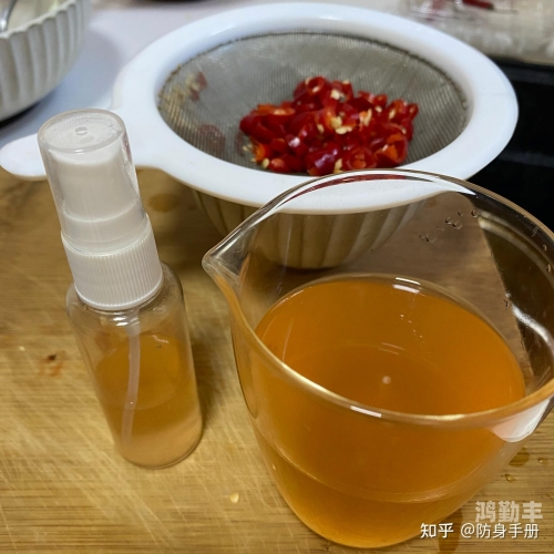 把辣椒水放屁眼里的作文注射器与辣椒水的意外冒险，一场荒诞的污作文-第2张图片