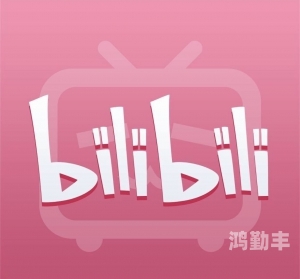 b站小会员B站小会员，探索数字时代的粉丝文化新现象-第2张图片