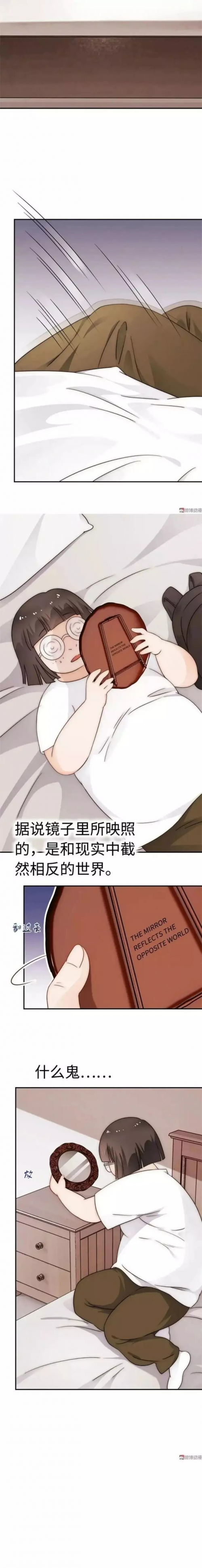 从镜子里看我怎么c的小说镜中倒影，我如何C你