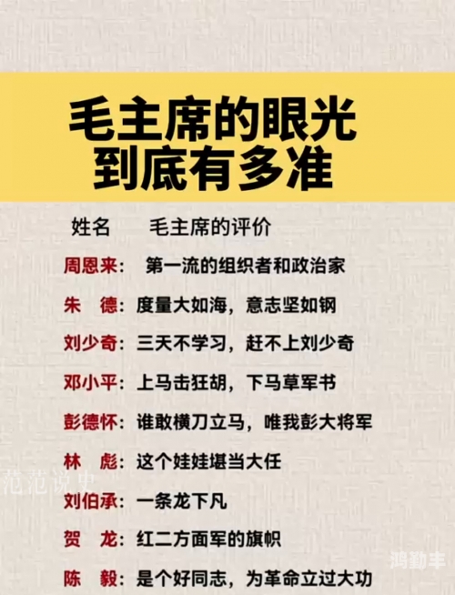毛老太长相浓毛老太太的BGMBGMBGM传奇-第3张图片